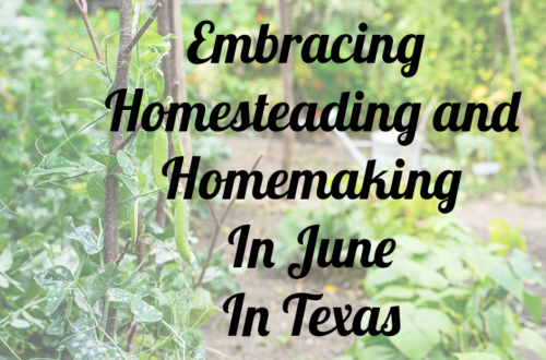embracing homeseading and homemaking in June in Texas