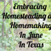 embracing homeseading and homemaking in June in Texas